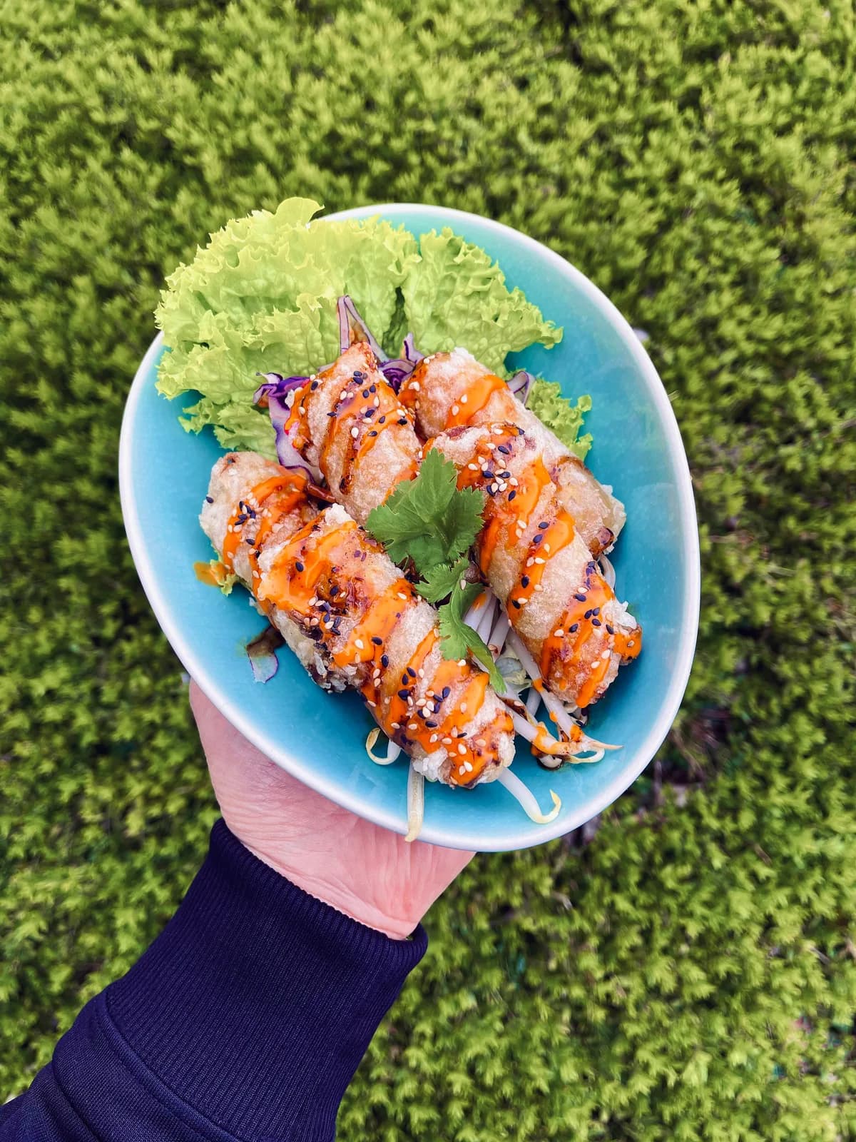 Chicken Springrolls